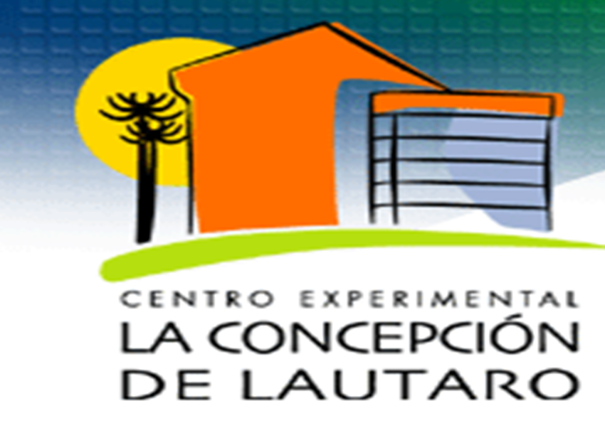 Centro Experimental La Concepción de Lautaro
